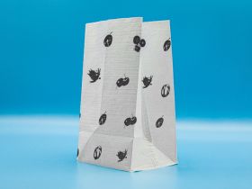 PAP网格纸袋